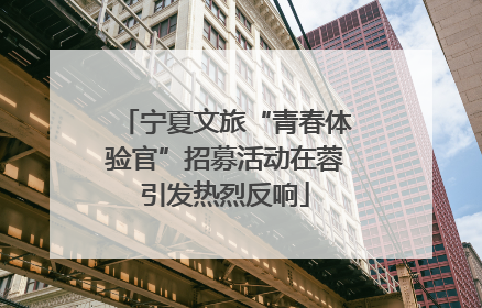 宁夏文旅“青春体验官”招募活动在蓉引发热烈反响